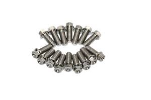 Racetech Titanium - RaceTech Titanium Header Bolt Kit- 3/8"-16 x 1" Long Hex Head Bolts (Set of 16)