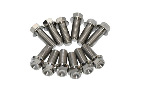 RaceTech Titanium Header Bolt Kit- 3/8"-16 x 1" Long Hex Head Bolts (Set of 12)