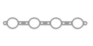 Stainless Header Flange for All-Pro LSW 12-2 LS Heads