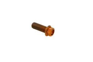 RaceTech Titanium Header Bolt Kit- 3/8"-16 x 1" Long Hex Head Bolts (Set of 12)