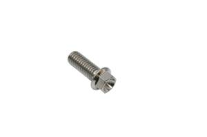  Raw Titanium Bolt