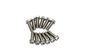 RaceTech Titanium Chevy LS Header Bolt Kit- M8 x 1.25 x 25mm Long Hex Head Bolts (Set of 12)